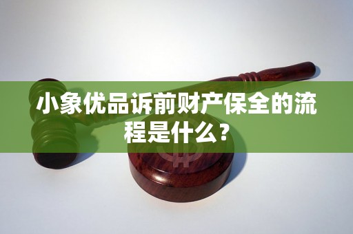 小象优品诉前财产保全的流程是什么? 小象优品诉前财产保全的流程是什么?