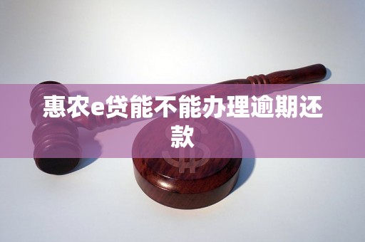 惠农e贷能不能办理逾期还款