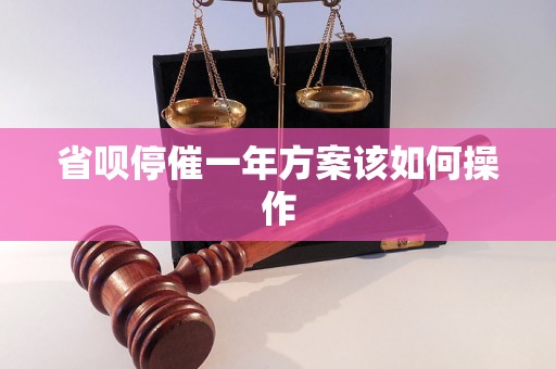 省呗停催一年方案该如何操作