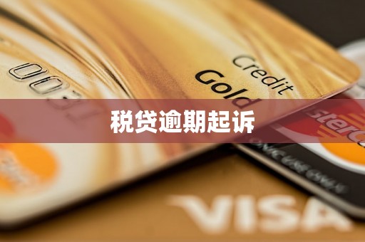 税贷逾期起诉