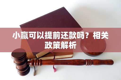 小赢可以提前还款吗？相关政策解析