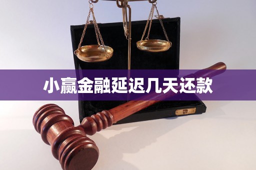 小赢金融延迟几天还款