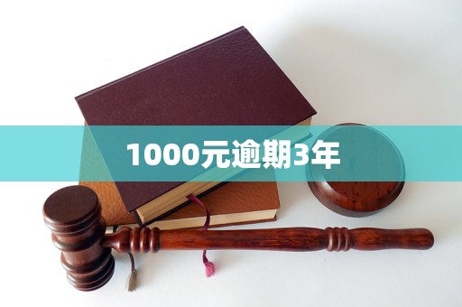 1000元逾期3年