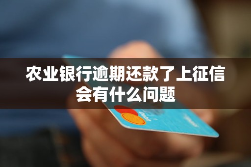 農(nóng)業(yè)銀行逾期還款了上征信會有什么問題