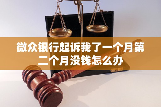 微众银行起诉我了一个月第二个月没钱怎么办