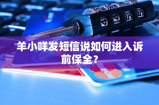 羊小咩发短信说如何进入诉前保全？