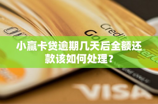 小赢卡贷逾期几天后全额还款该如何处理？