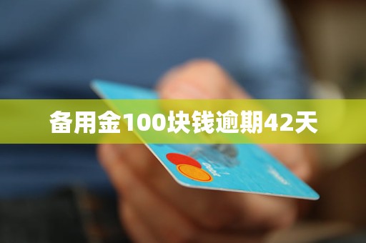 備用金100塊錢逾期42天