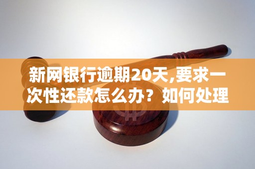 新网银行逾期20天,要求一次性还款怎么办？如何处理？