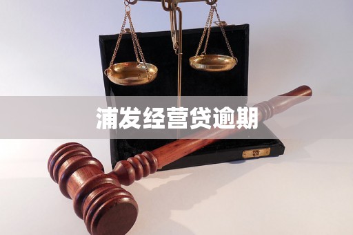浦发经营贷逾期