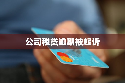 公司税贷逾期被起诉
