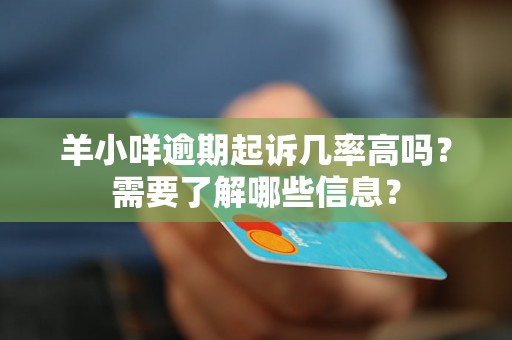 羊小咩逾期起诉几率高吗?需要了解哪些信息? 羊小咩逾期起诉几率高吗?需要了解哪些信息?