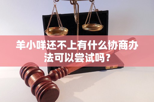 羊小咩还不上有什么协商办法可以尝试吗？