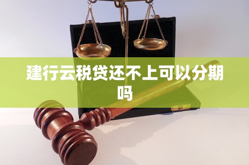 建行云稅貸還不上可以分期嗎