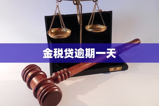 金税贷逾期一天