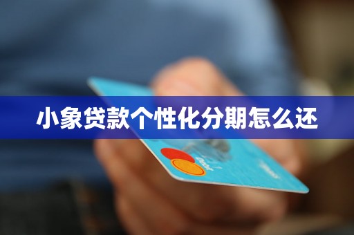 小象贷款个性化分期怎么还