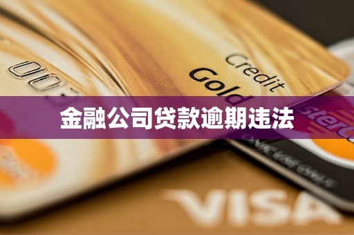 金融公司贷款逾期违法