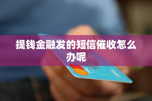 提錢(qián)金融發(fā)的短信催收怎么辦呢