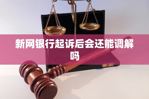 新网银行起诉后会还能调解吗