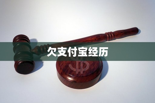 欠支付寶經(jīng)歷