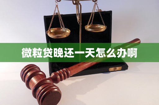 微粒贷晚还一天怎么办啊