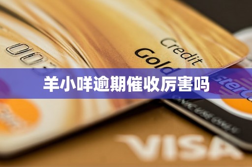 羊小咩逾期催收厉害吗