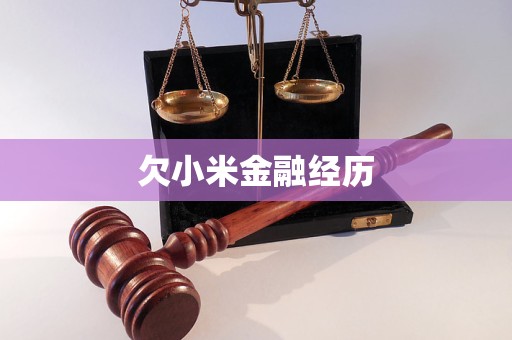 欠小米金融經(jīng)歷