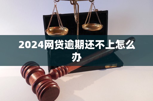 2024網(wǎng)貸逾期還不上怎么辦