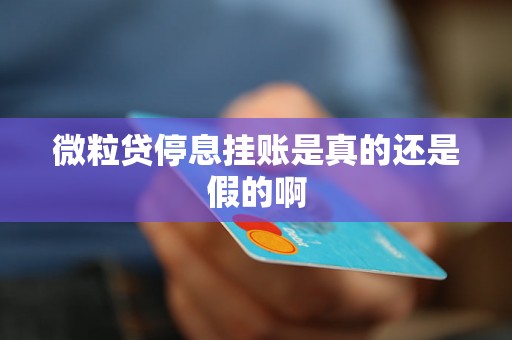 微粒贷停息挂账是真的还是假的啊