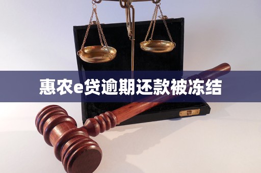 惠農e貸逾期還款被凍結