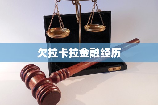 欠拉卡拉金融經(jīng)歷