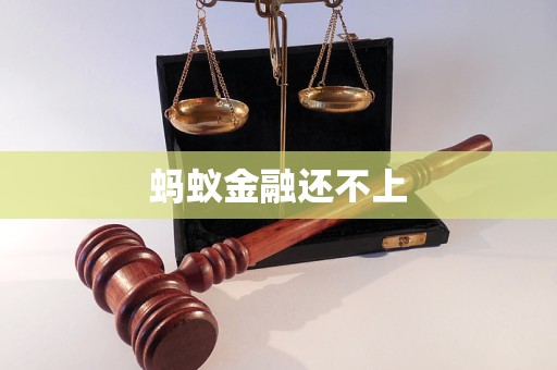 螞蟻金融還不上