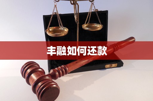 豐融如何還款