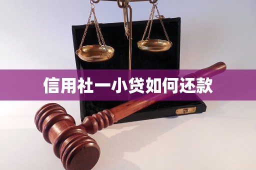 信用社一小貸如何還款