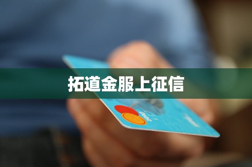 拓道金服上征信