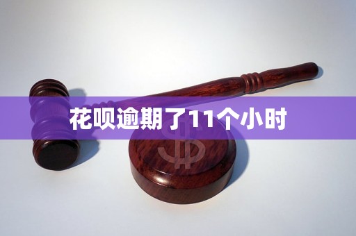 花唄逾期了11個小時