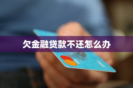 欠金融贷款不还怎么办 欠金融贷款不还怎么办