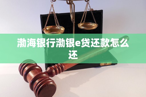 渤海銀行渤銀e貸還款怎么還