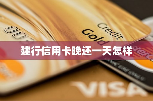 建行信用卡晚还一天怎样