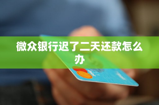 微众银行迟了二天还款怎么办 微众银行迟了二天还款怎么办