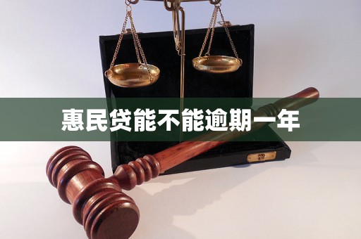 惠民贷能不能逾期一年 惠民贷能不能逾期一年