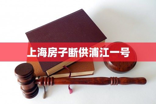 上海房子断供浦江一号 上海房子断供浦江一号