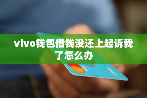 vivo錢(qián)包借錢(qián)沒(méi)還上起訴我了怎么辦