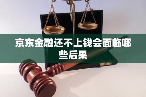 京東金融還不上錢會(huì)面臨哪些后果