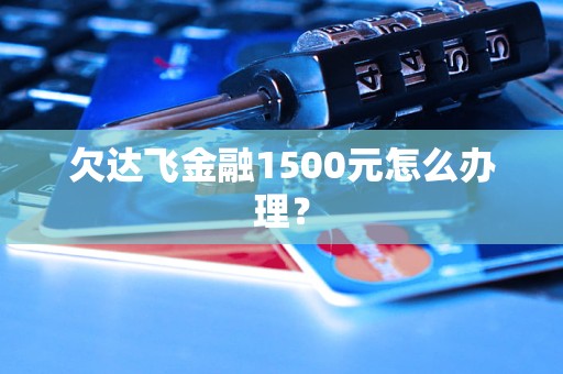 欠達飛金融1500元怎么辦理？