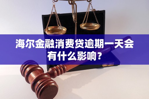 海爾金融消費貸逾期一天會有什么影響？