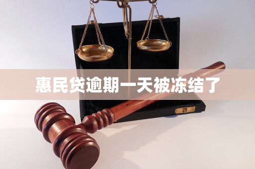惠民贷逾期一天被冻结了
