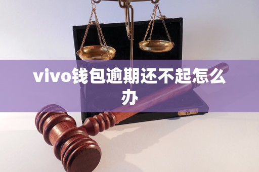 vivo錢包逾期還不起怎么辦