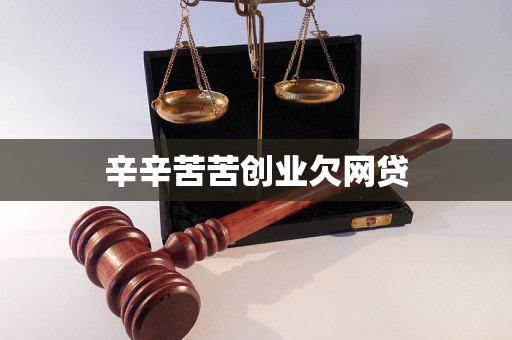 辛辛苦苦创业欠网贷