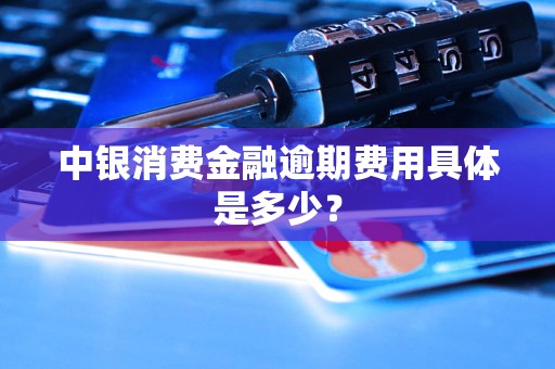 中銀消費(fèi)金融逾期費(fèi)用具體是多少？